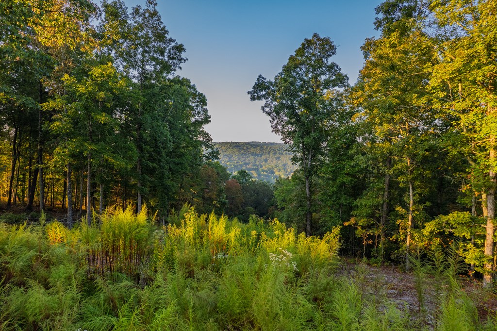 Lot 290 Anglers Ridge Road