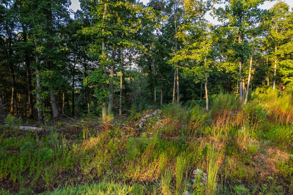 Lot 290 Anglers Ridge Road