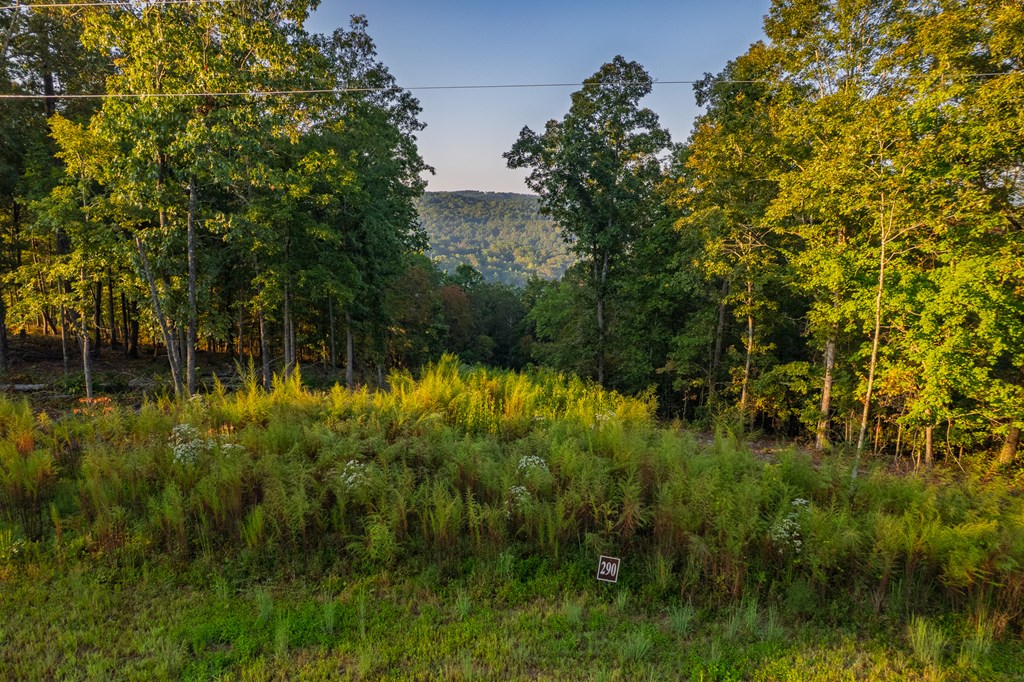 Lot 290 Anglers Ridge Road