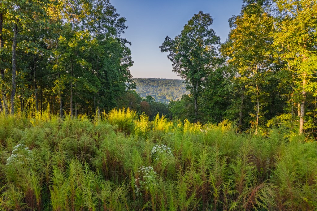 Lot 290 Anglers Ridge Road