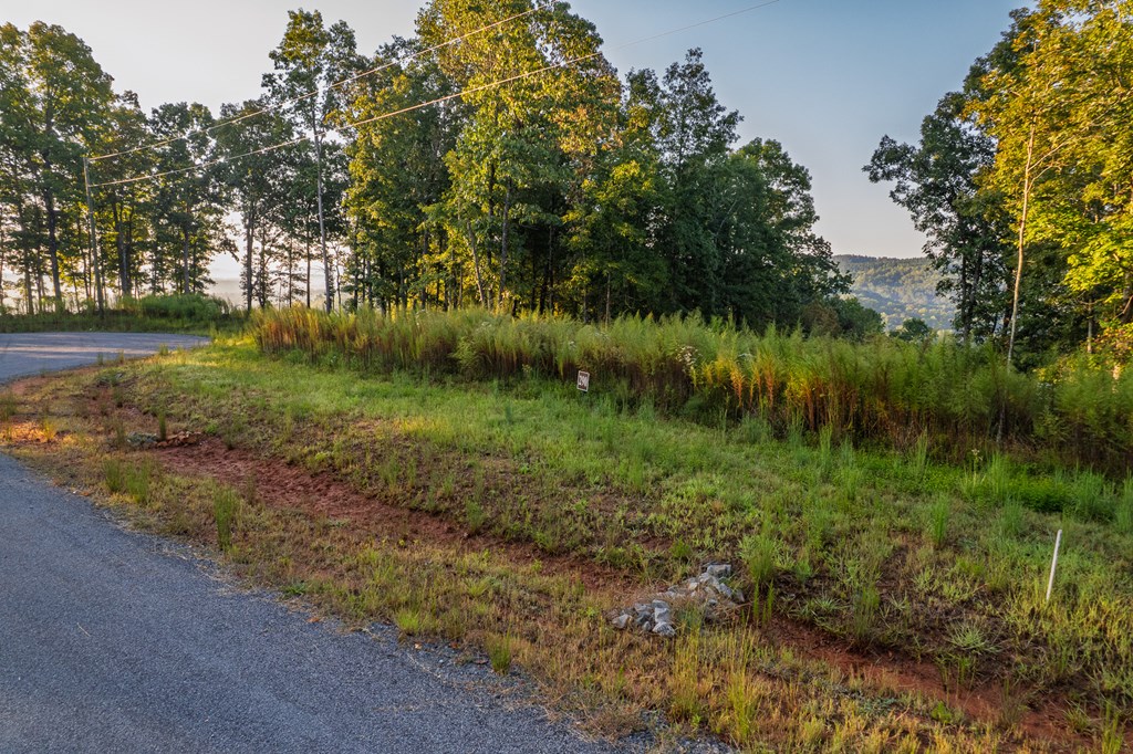 Lot 290 Anglers Ridge Road