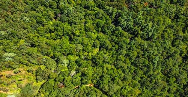 7.67 AC Oak Hill Drive