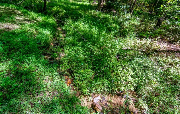 7.67 AC Oak Hill Drive