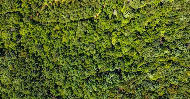 7.67 AC Oak Hill Drive