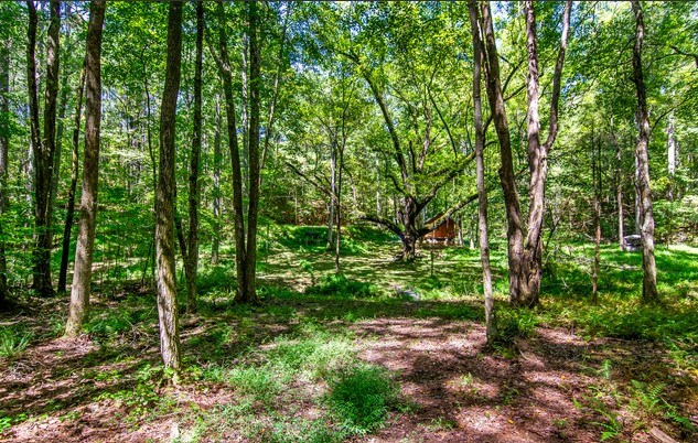 7.67 AC Oak Hill Drive