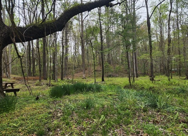 7.67 AC Oak Hill Drive