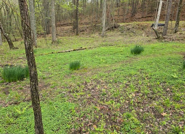 7.67 AC Oak Hill Drive