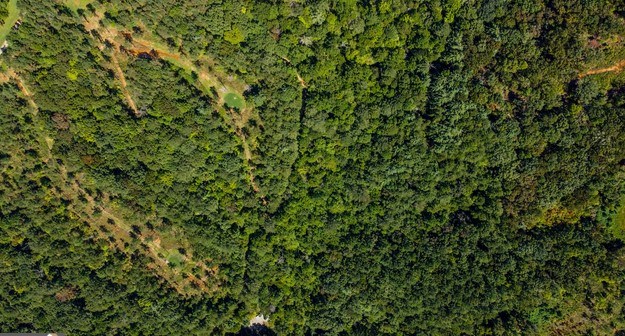 7.67 AC Oak Hill Drive