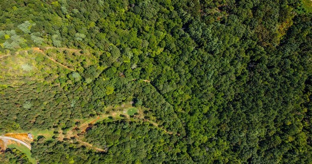 7.67 AC Oak Hill Drive