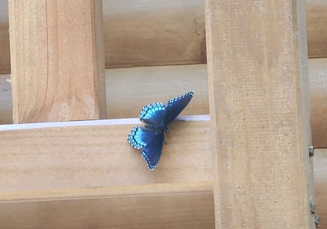 7.67 AC Oak Hill Drive