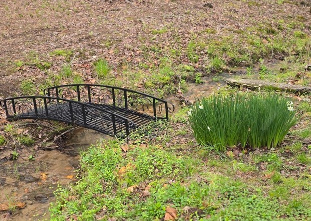 7.67 AC Oak Hill Drive