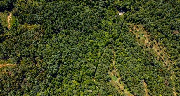 7.67 AC Oak Hill Drive