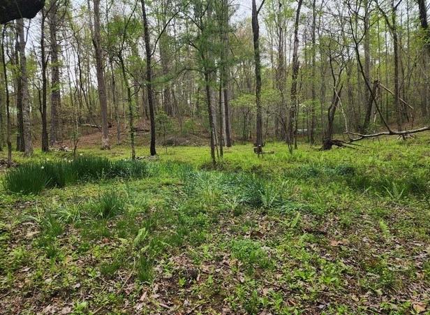 7.67 AC Oak Hill Drive