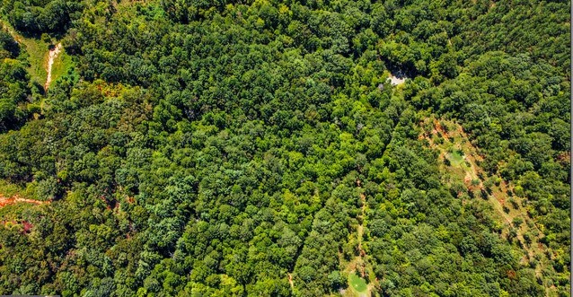 7.67 AC Oak Hill Drive