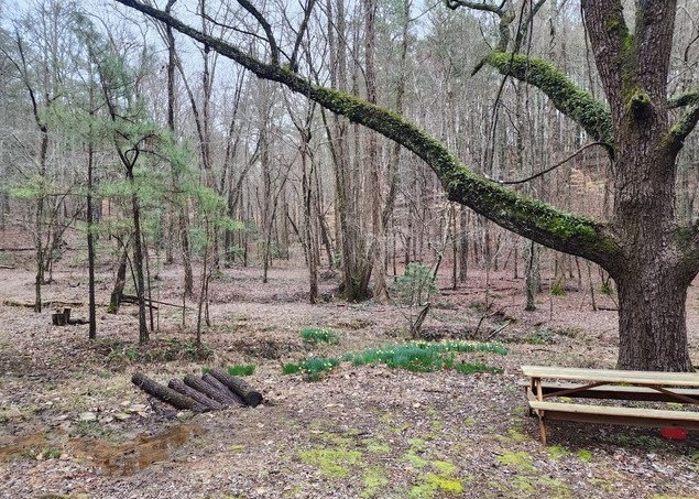 7.67 AC Oak Hill Drive