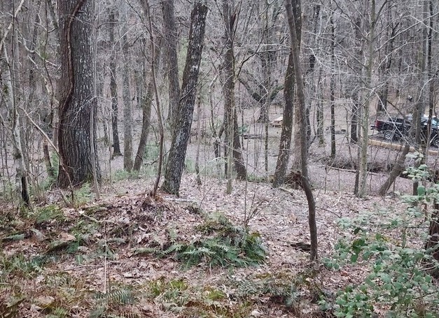 7.67 AC Oak Hill Drive