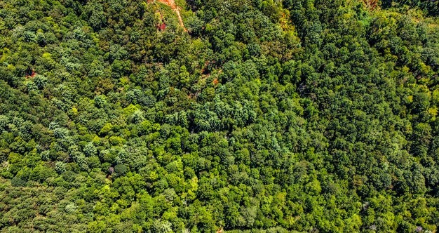 7.67 AC Oak Hill Drive