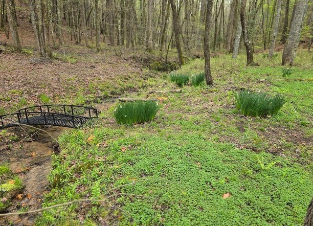 7.67 AC Oak Hill Drive