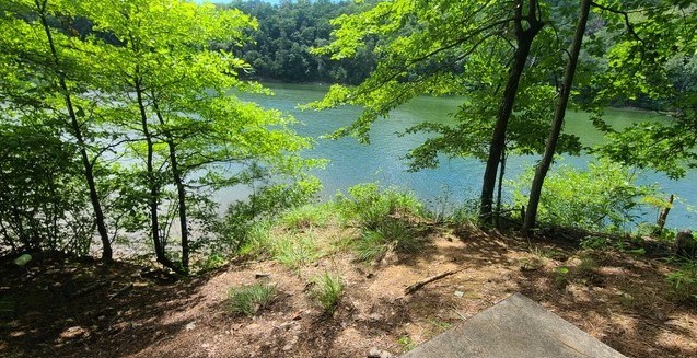 7.67 AC Oak Hill Drive