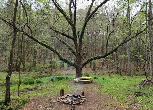 7.67 AC Oak Hill Drive