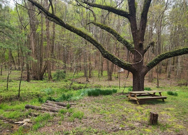 7.67 AC Oak Hill Drive