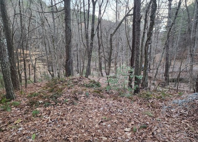 7.67 AC Oak Hill Drive