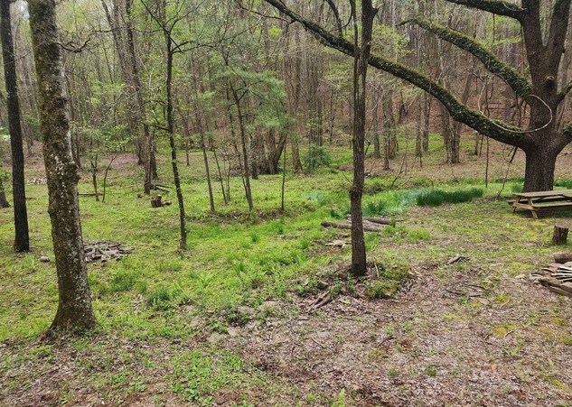 7.67 AC Oak Hill Drive