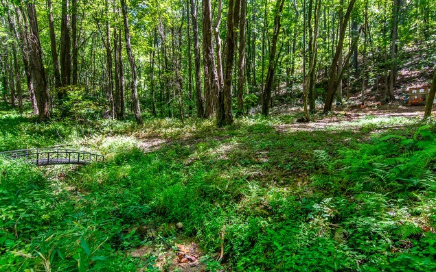 7.67 AC Oak Hill Drive