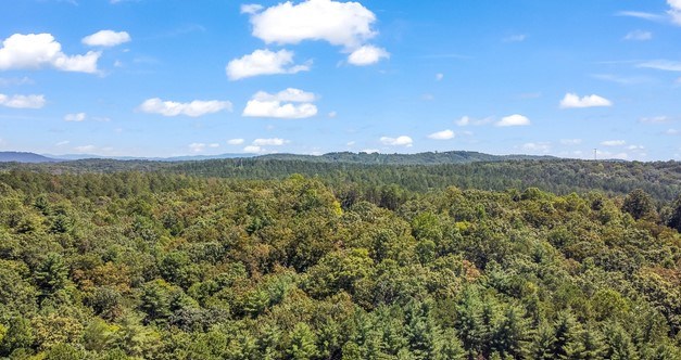 7.67 AC Oak Hill Drive