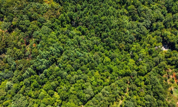 7.67 AC Oak Hill Drive