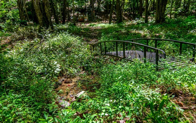 7.67 AC Oak Hill Drive