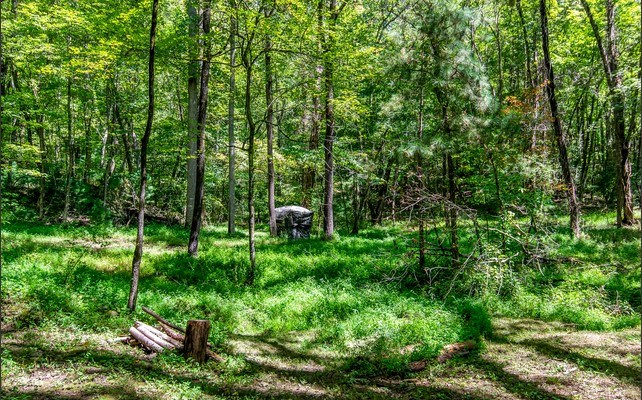 7.67 AC Oak Hill Drive