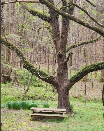 7.67 AC Oak Hill Drive