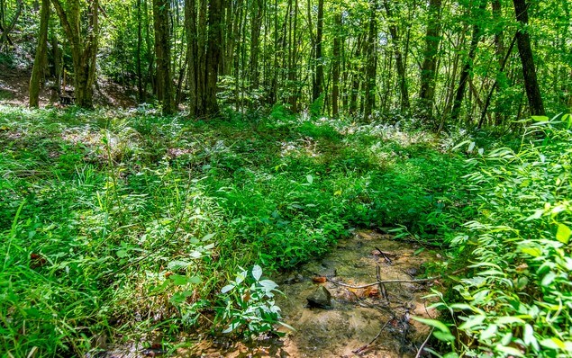 7.67 AC Oak Hill Drive