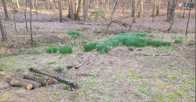 7.67 AC Oak Hill Drive