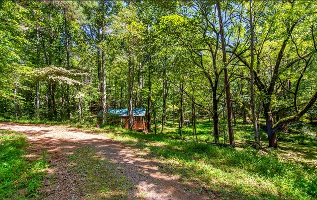 7.67 AC Oak Hill Drive