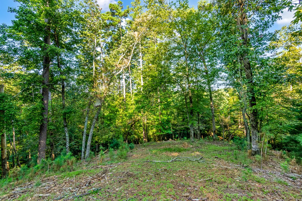 Lt 2076r Parody Circle