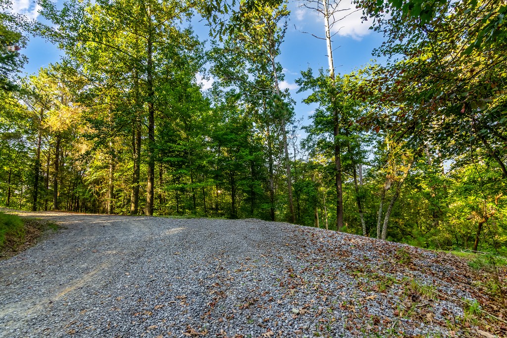 Lt 2076r Parody Circle