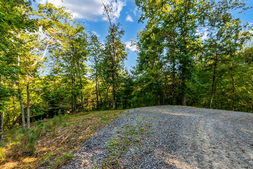 Lt 2076r Parody Circle