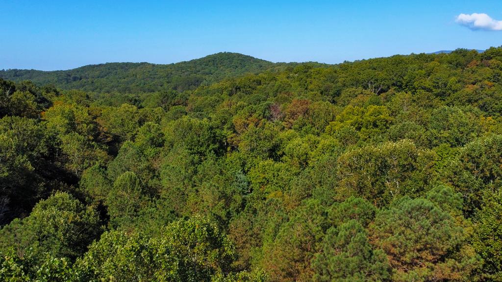 Lot 10 Johnston Road