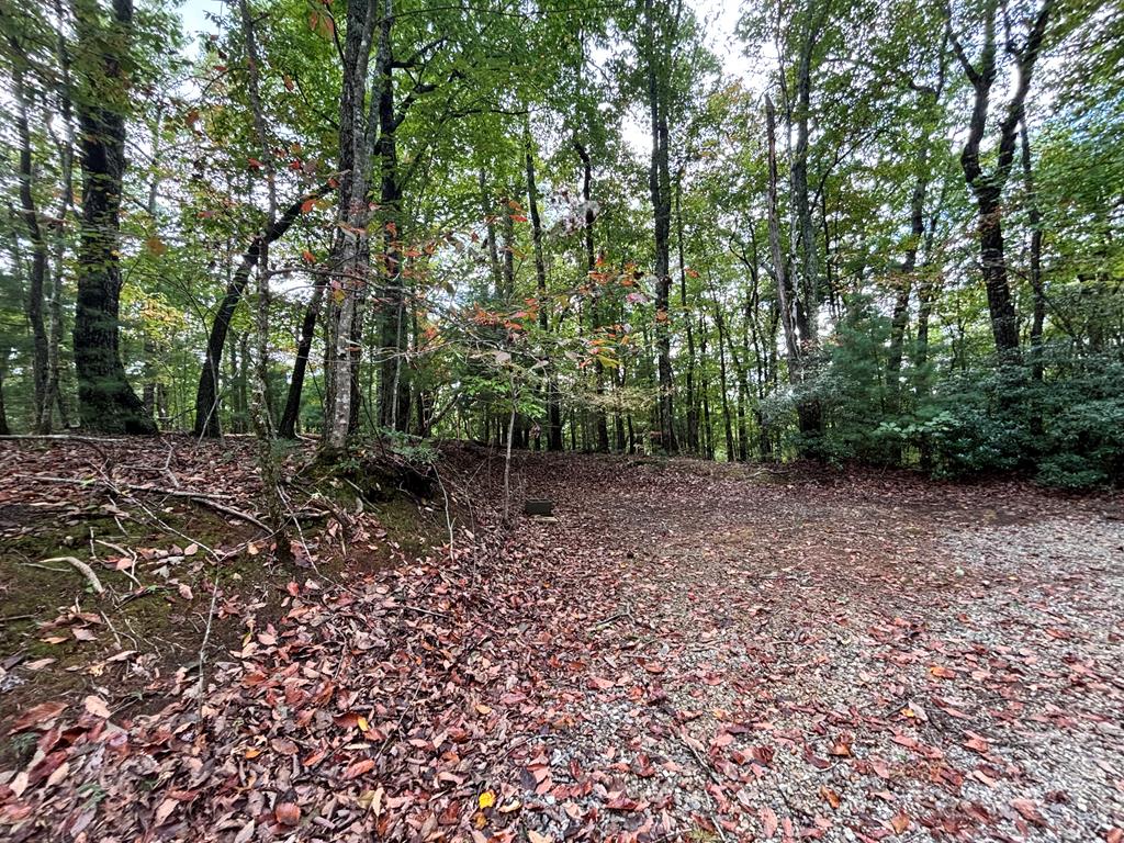 Lot 10 Johnston Road