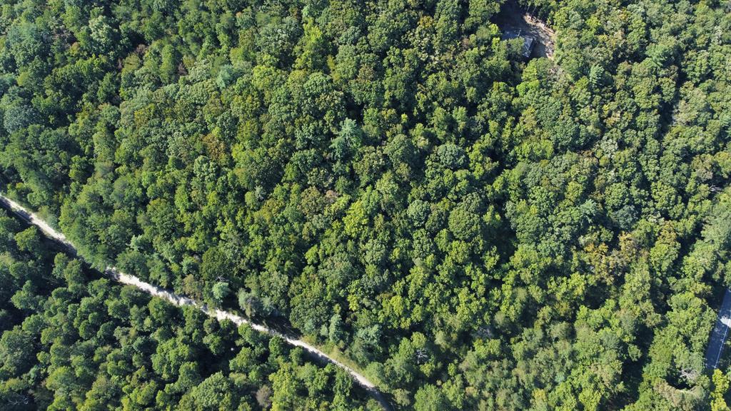 Lot 10 Johnston Road