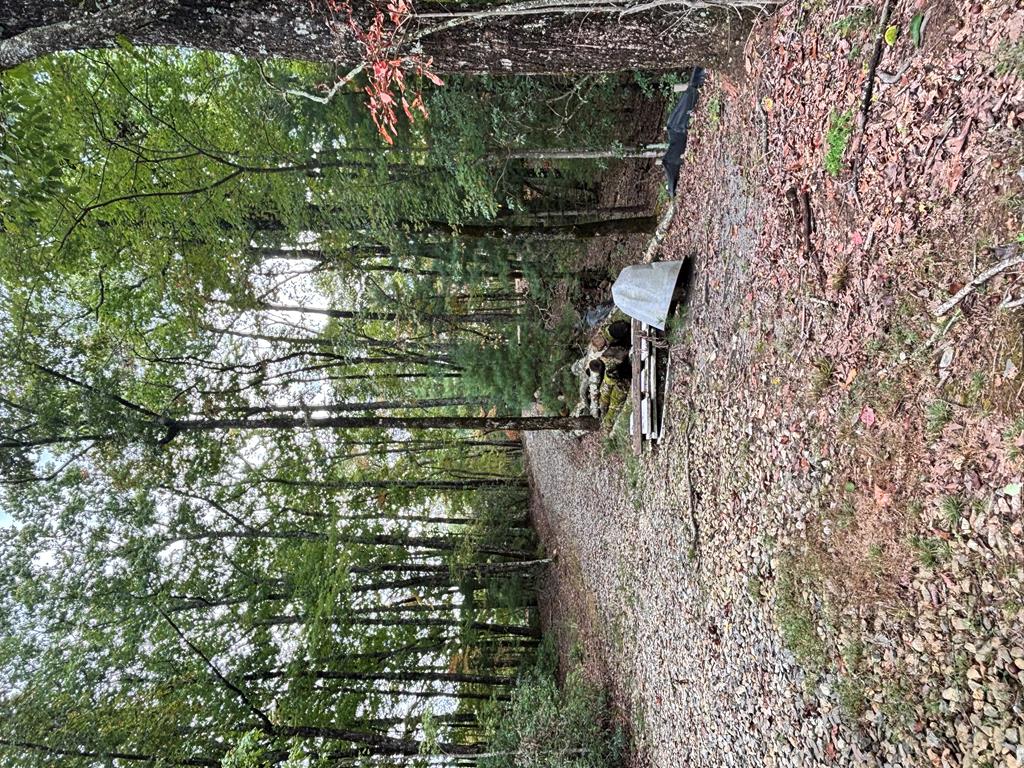 Lot 10 Johnston Road