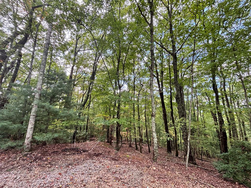 Lot 10 Johnston Road