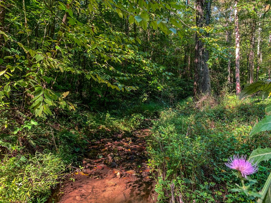 Lot 10 Johnston Road