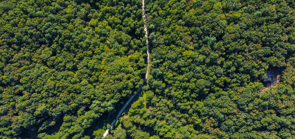 Lot 10 Johnston Road