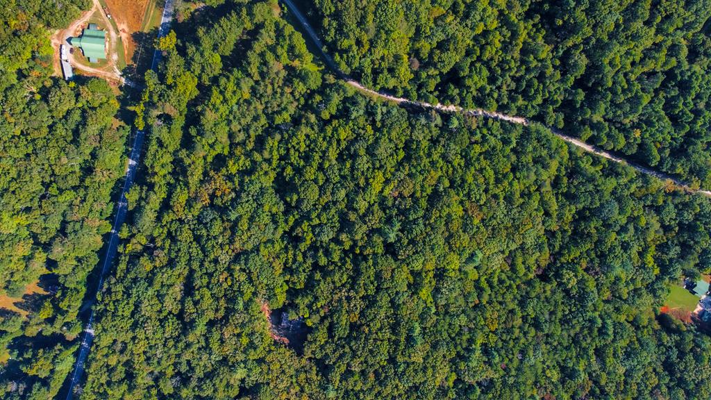 Lot 10 Johnston Road