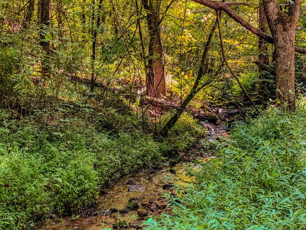 Lot 10 Johnston Road