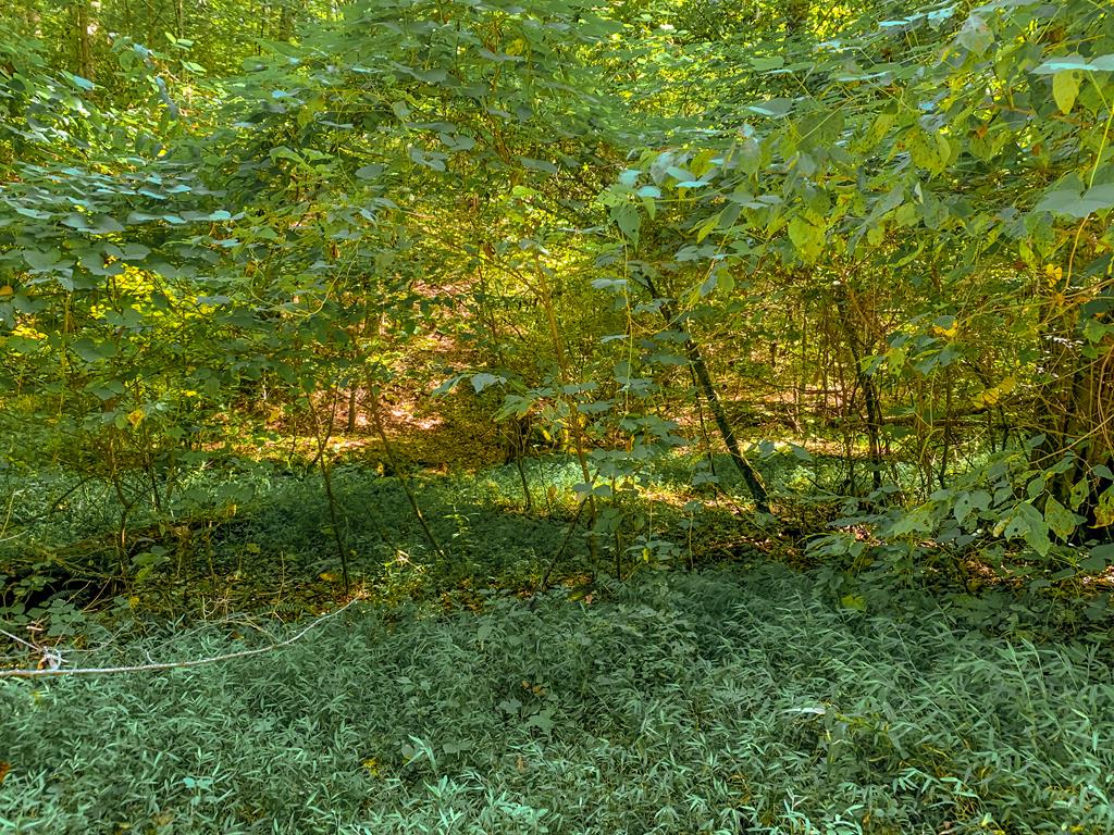 Lot 10 Johnston Road