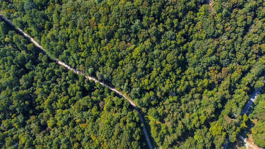 Lot 10 Johnston Road